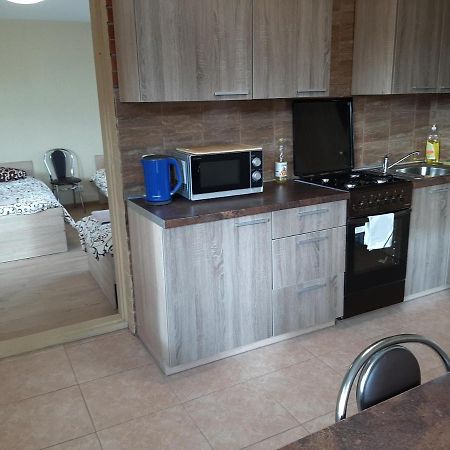 Rooms For Rent Panevezys Bagian luar foto